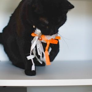 Meet your Posher, Katherine